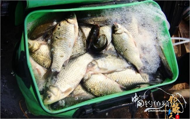 2012年的第一波热浪，比以往时候来的更陡一些