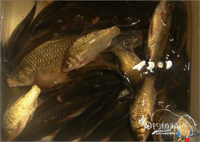 2012年的第一波热浪，比以往时候来的更陡一些