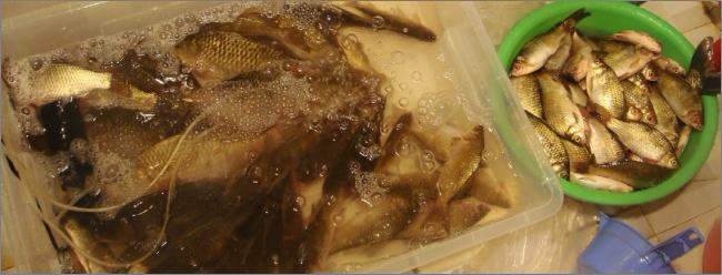 2012年的第一波热浪，比以往时候来的更陡一些