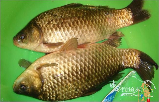 2012年的第一波热浪，比以往时候来的更陡一些