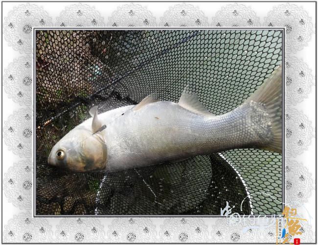 2012，小串，我们来了