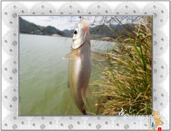 2012，小串，我们来了