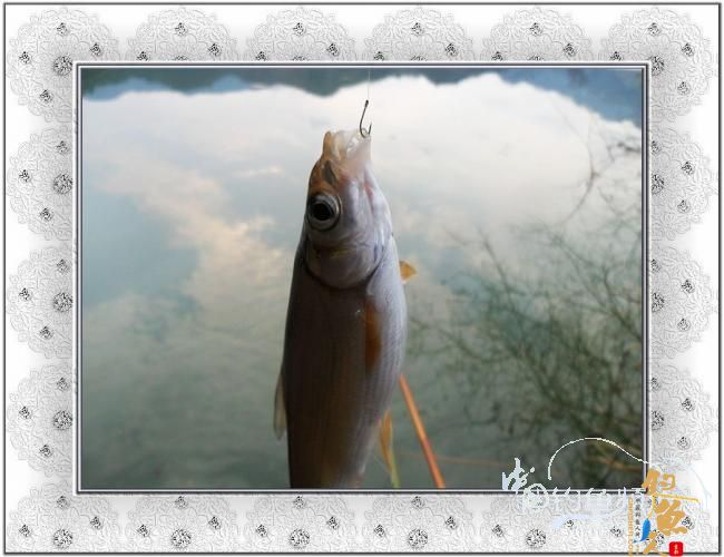 2012，小串，我们来了