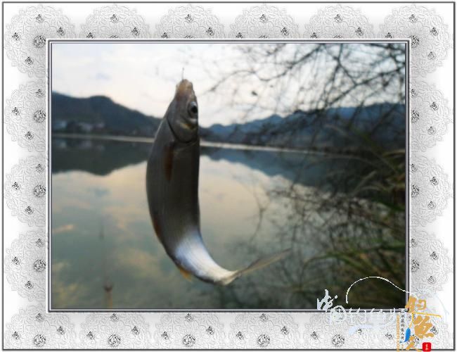 2012，小串，我们来了