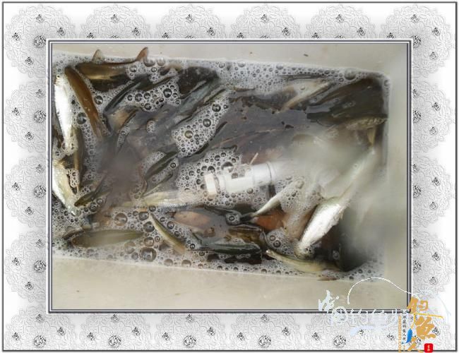 2012，小串，我们来了