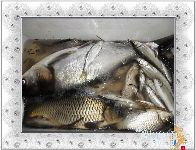 2012，小串，我们来了