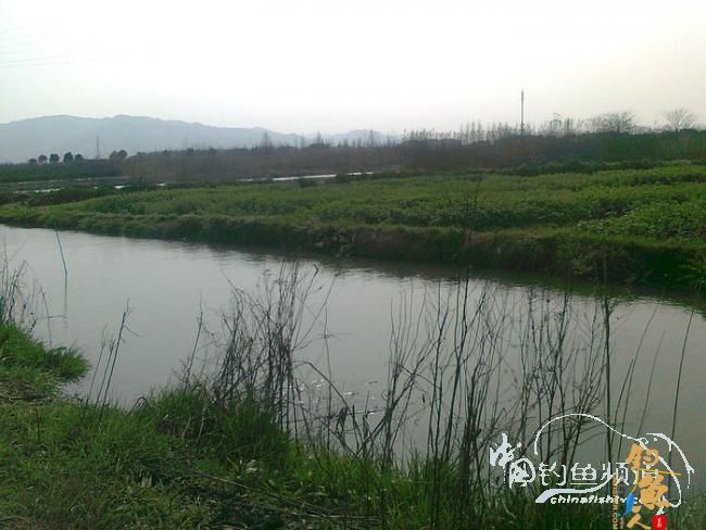 在那希望的田野上,今日钓鱼