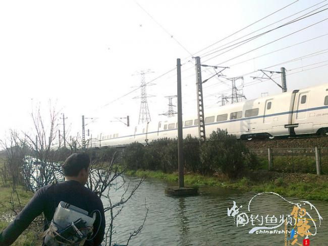 在那希望的田野上,今日钓鱼