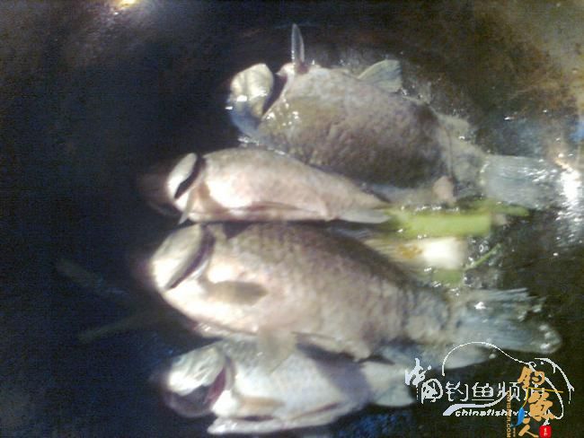 在那希望的田野上，今日钓鱼