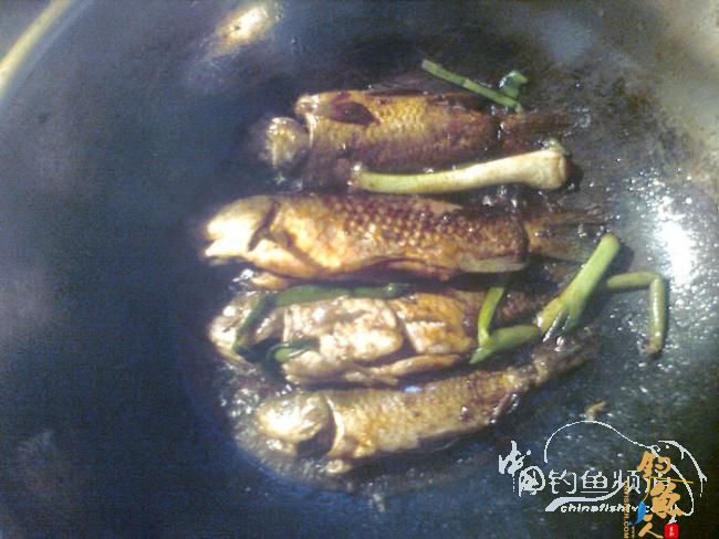 在那希望的田野上，今日钓鱼