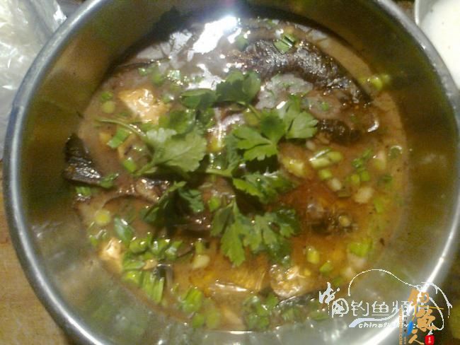 在那希望的田野上，今日钓鱼