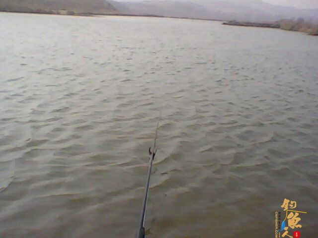 那谁，看今天我上了根鲫鱼