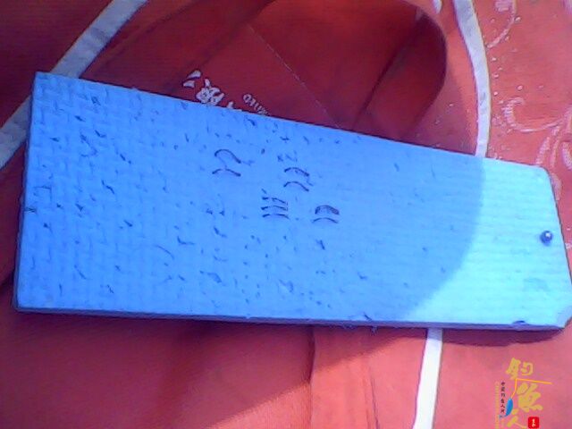 那谁，看今天我上了根鲫鱼