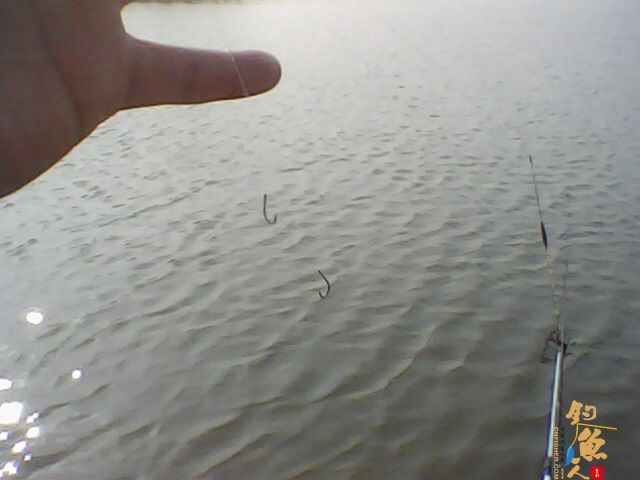 那谁，看今天我上了根鲫鱼
