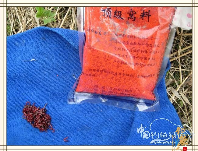 长杆破雾小鱼忙，奔波喜见大鲫样 图