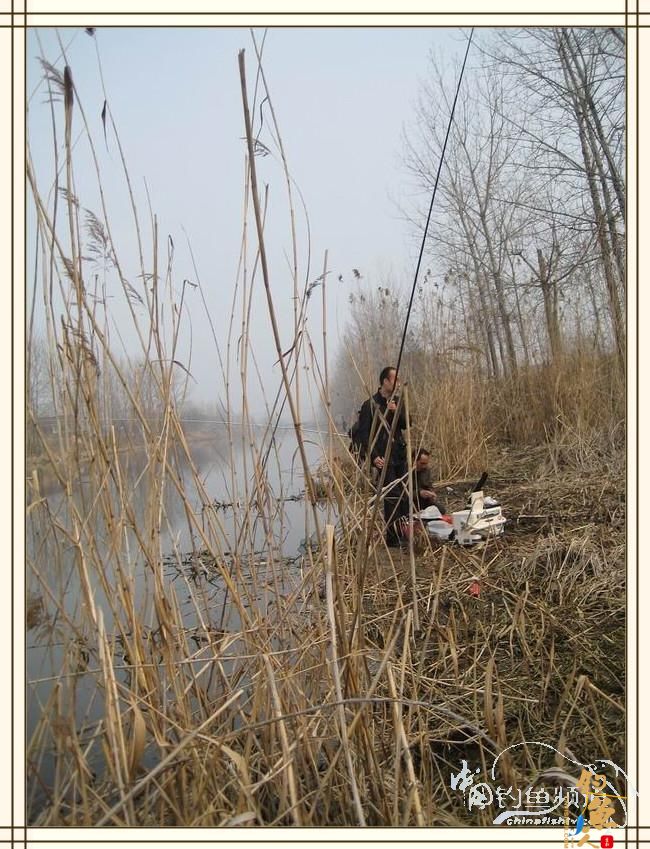 长杆破雾小鱼忙，奔波喜见大鲫样 图