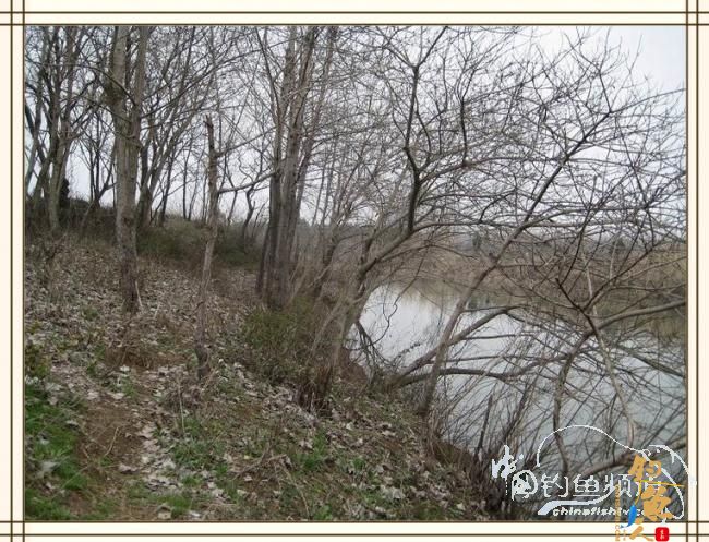 长杆破雾小鱼忙，奔波喜见大鲫样 图