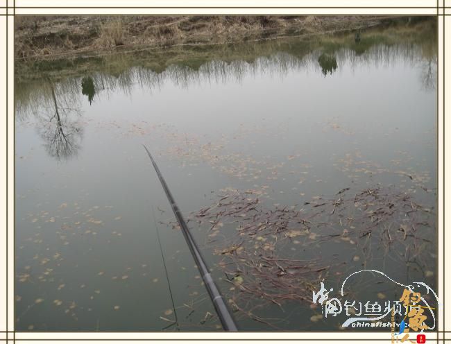 长杆破雾小鱼忙，奔波喜见大鲫样 图