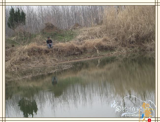 长杆破雾小鱼忙，奔波喜见大鲫样 图