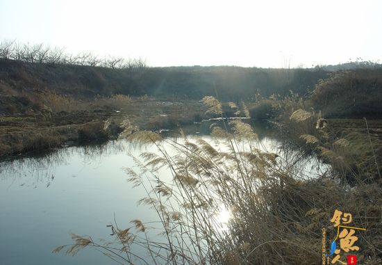 钓鱼日记：再战小水沟儿