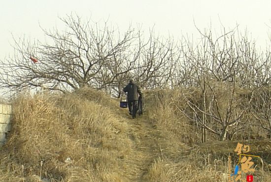 钓鱼日记：再战小水沟儿