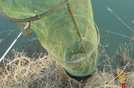 钓鱼日记：再战小水沟儿