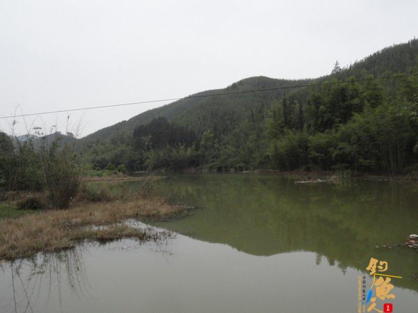 牧鱼 ?被鱼戏一回