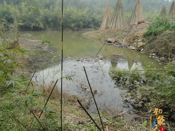 牧鱼 ?被鱼戏一回