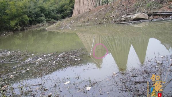 牧鱼 ?被鱼戏一回