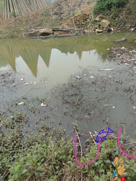 牧鱼 ?被鱼戏一回