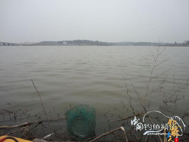 龙年第一次手竿钓鱼 图