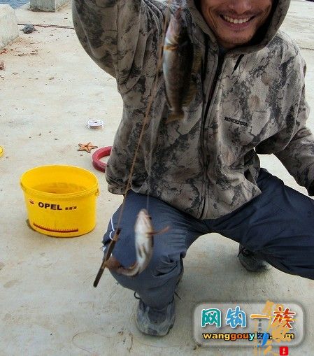 去年秋天大连海边组织的