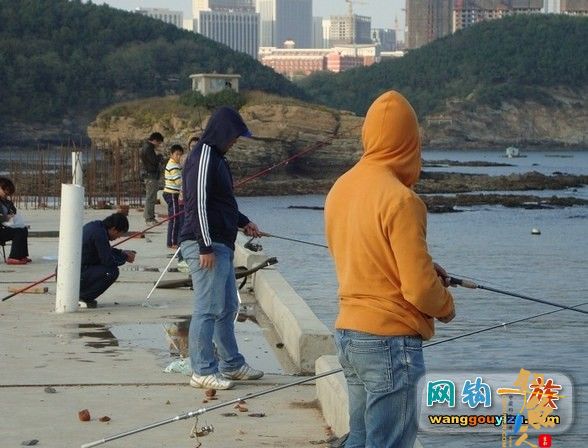 去年秋天大连海边组织的