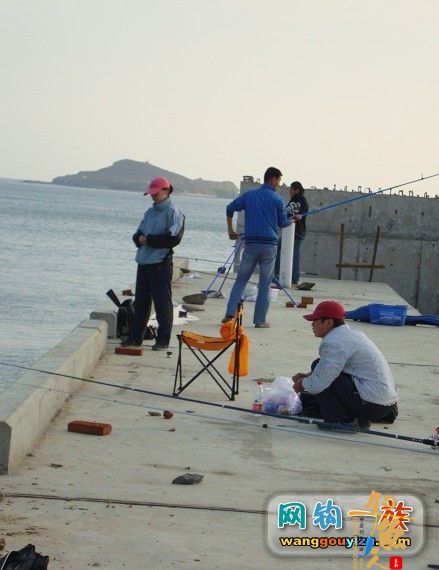 去年秋天大连海边组织的