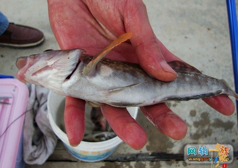 去年秋天大连海边组织的