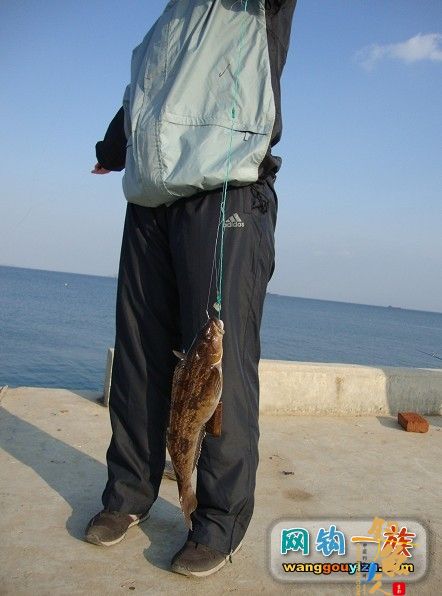 去年秋天大连海边组织的