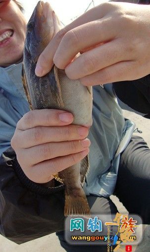 去年秋天大连海边组织的