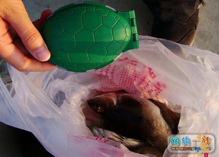 去年秋天大连海边组织的