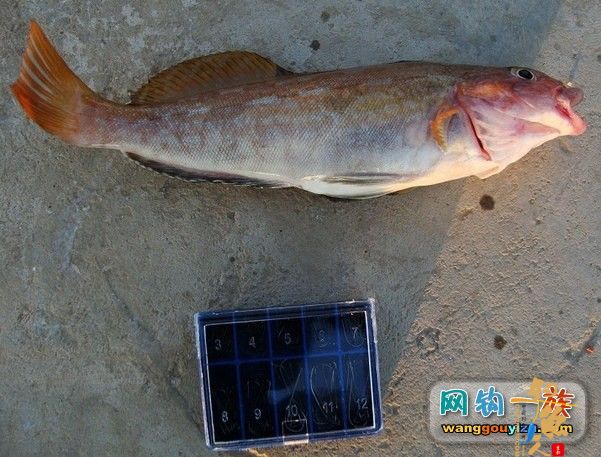 去年秋天大连海边组织的