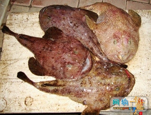 去年秋天大连海边组织的