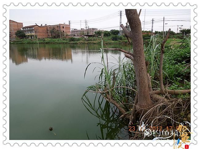 一个人的渔事（3月23日晚）