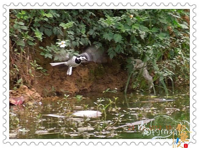 一个人的渔事（3月23日晚）