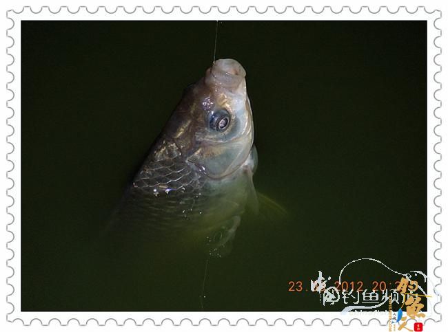 一个人的渔事（3月23日晚）