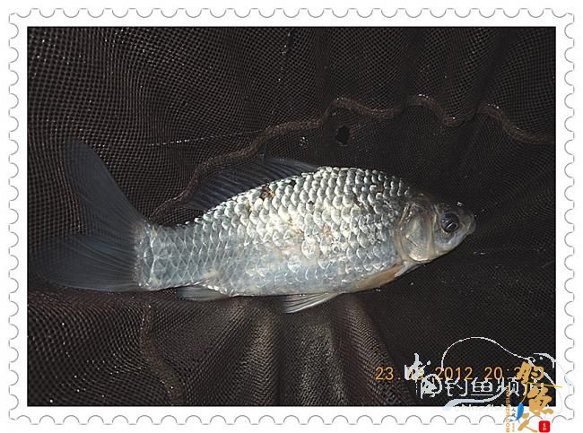 一个人的渔事（3月23日晚）