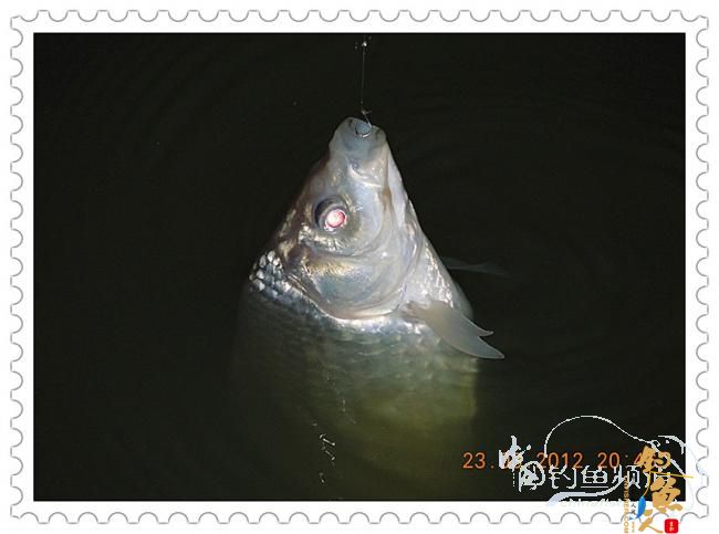 一个人的渔事（3月23日晚）