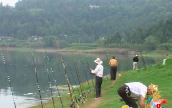 再侃钓鱼人的“自私”