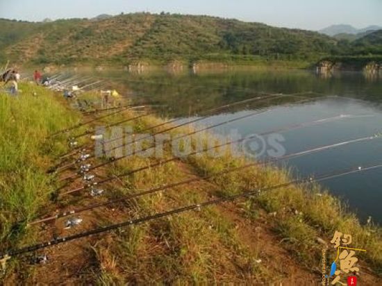 再侃钓鱼人的“自私”