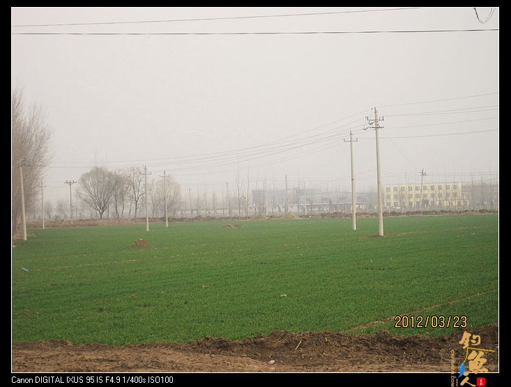 钓鱼日记七之大风归来