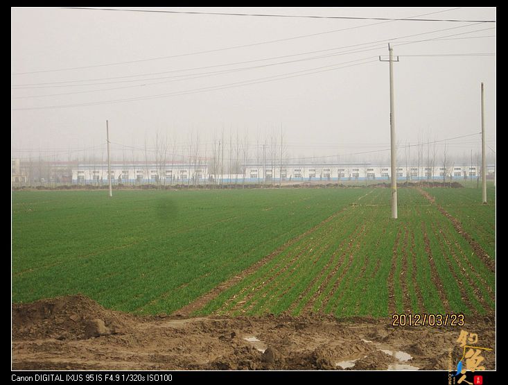 钓鱼日记七之大风归来