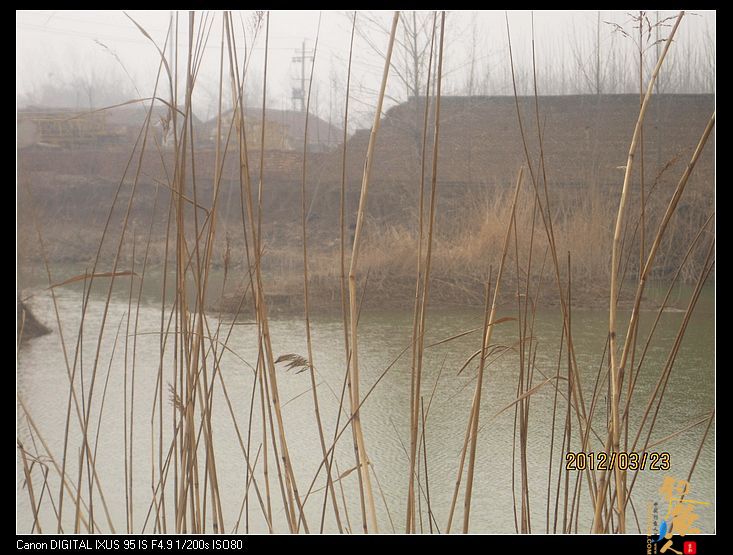 钓鱼日记七之大风归来